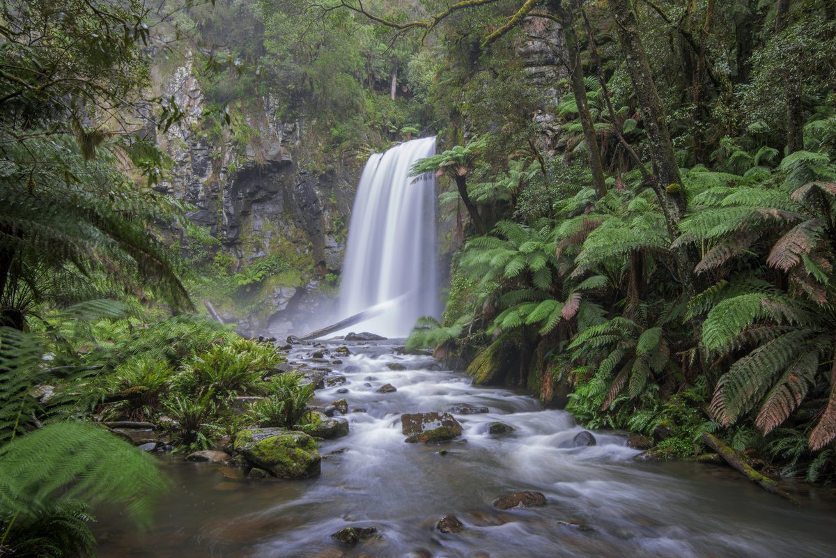 Hopetoun Falls dropping into a fern-lined rainforest amphitheatre, water blurred silk-smooth by a long exposure