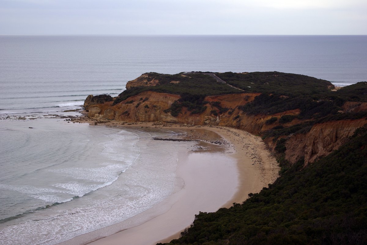 A broad surf-coast headland with layered ochre cliffs, a curving beach and grey ocean under soft light at Point Addis