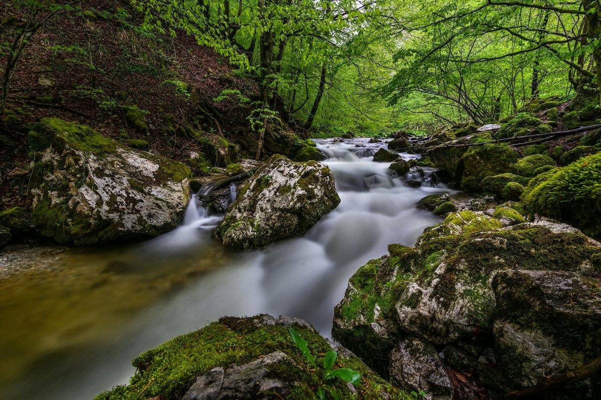 Silky smooth waterfall captured with long exposure in a lush forest setting