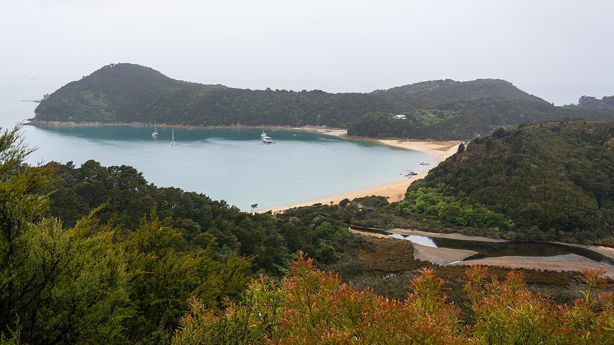 Anchorage Bay, a golden sand crescent with moored boats and forested headlands, Abel Tasman National Park