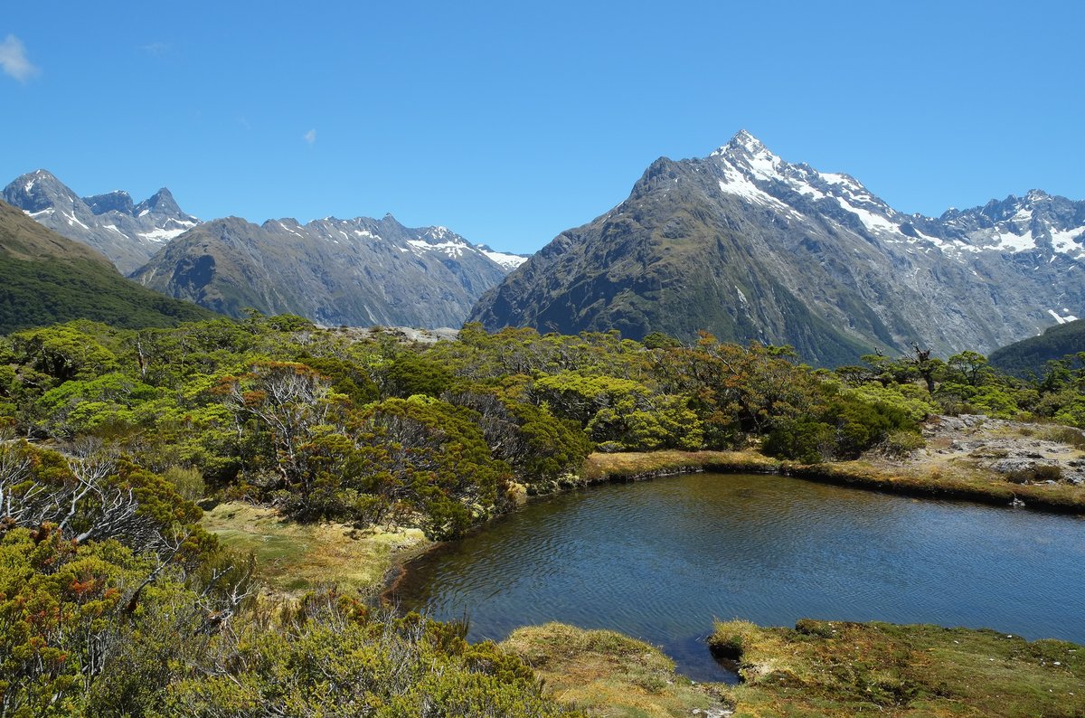 An alpine tarn on Key Summit reflecting Mount Christina, Fiordland National Park