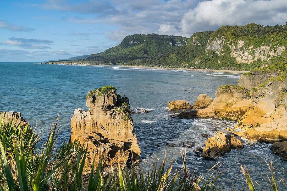 The layered limestone coast at Dolomite Point, Punakaiki, with flax in the foreground and the Paparoa Range behind