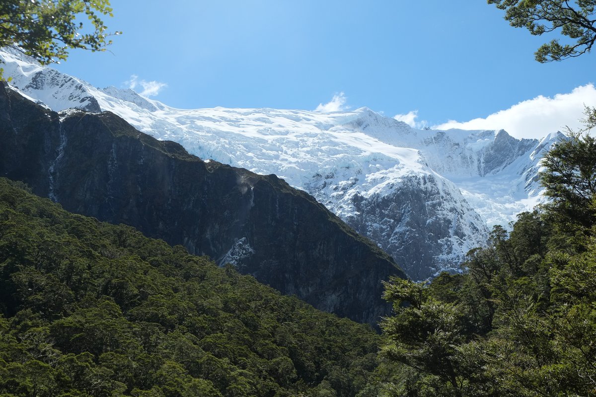 The hanging Rob Roy Glacier above beech forest with waterfalls in Mount Aspiring National Park
