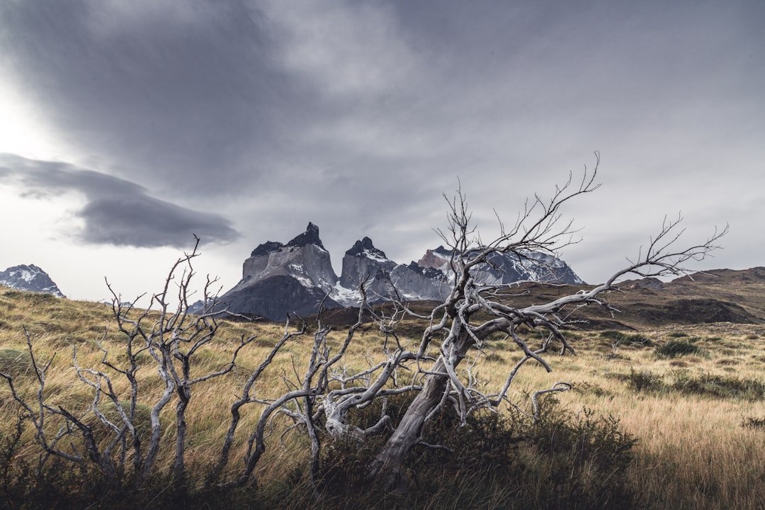 Storm clouds swirling around the Cuernos del Paine horns, Patagonia